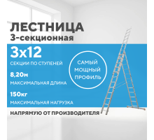 Лестница алюминиевая 3х12 (8,20м)