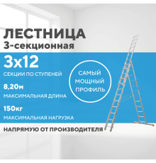Лестница алюминиевая 3х12 (8,20м)