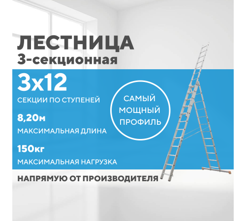 Лестница алюминиевая 3х12 (8,20м)