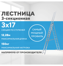 Лестница алюминиевая 3х17 (12,28м)