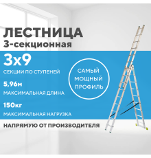Лестница алюминиевая 3х9 (5,96м)